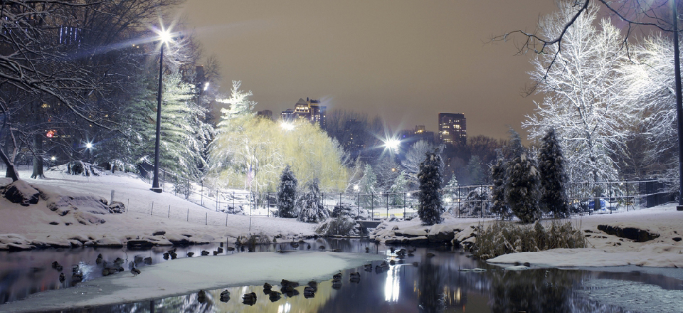shutterstock_56014447